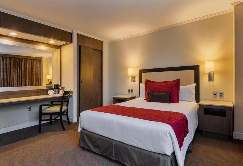 اتاق استاندارد, Exe Alameda Reforma