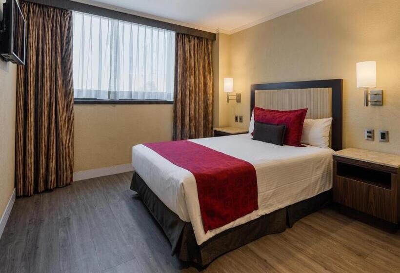 Номер Стандарт, Exe Alameda Reforma