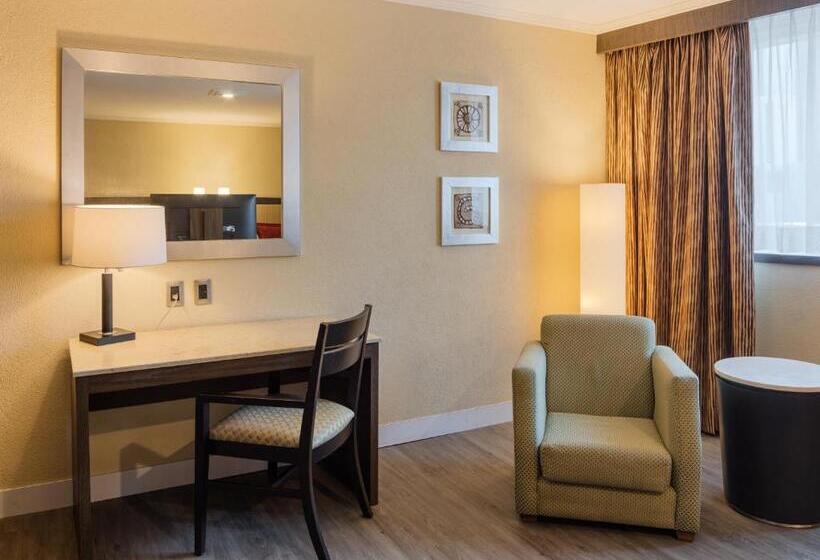 اتاق استاندارد, Exe Alameda Reforma