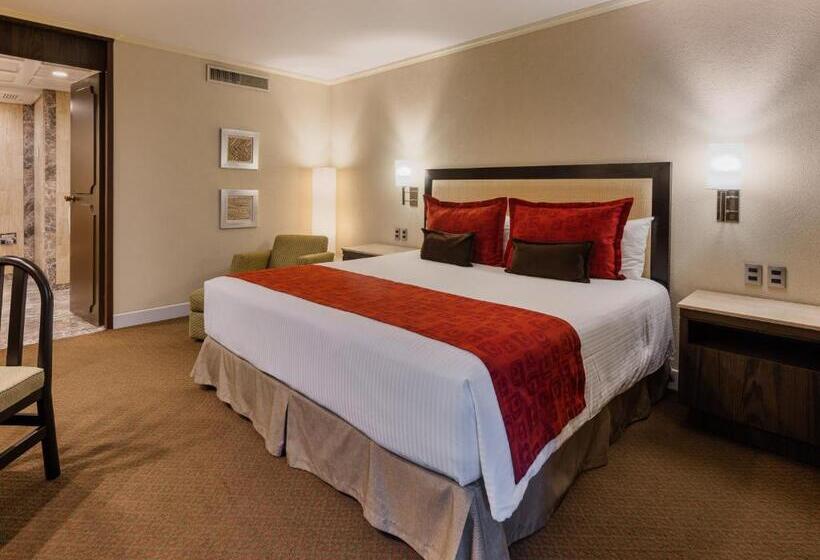 اتاق استاندارد با تخت بزرگ, Exe Alameda Reforma