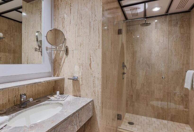 اتاق استاندارد با تخت بزرگ, Exe Alameda Reforma