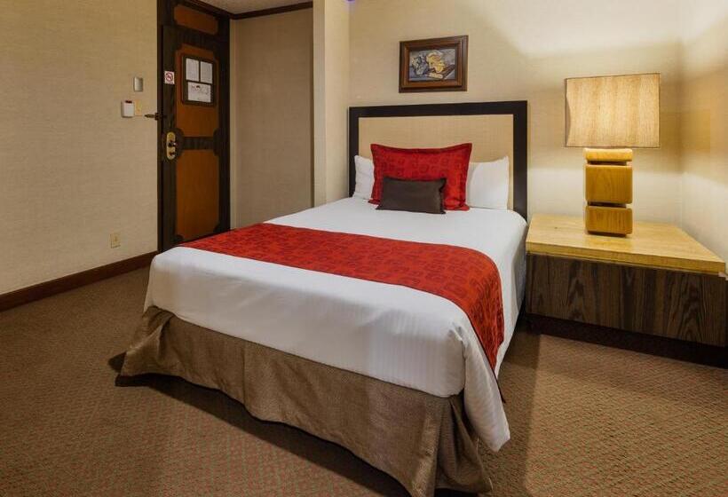 اتاق استاندارد, Exe Alameda Reforma