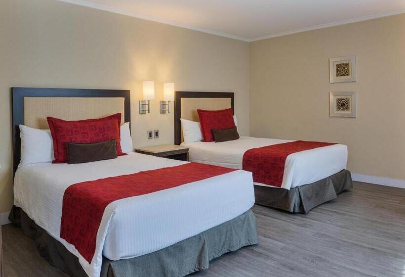 اتاق استاندارد, Exe Alameda Reforma