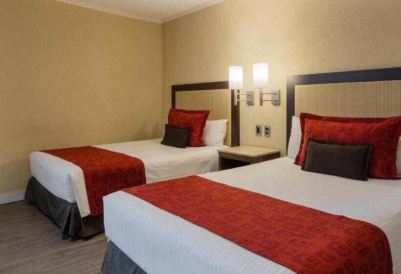 اتاق خانوادگی, Exe Alameda Reforma