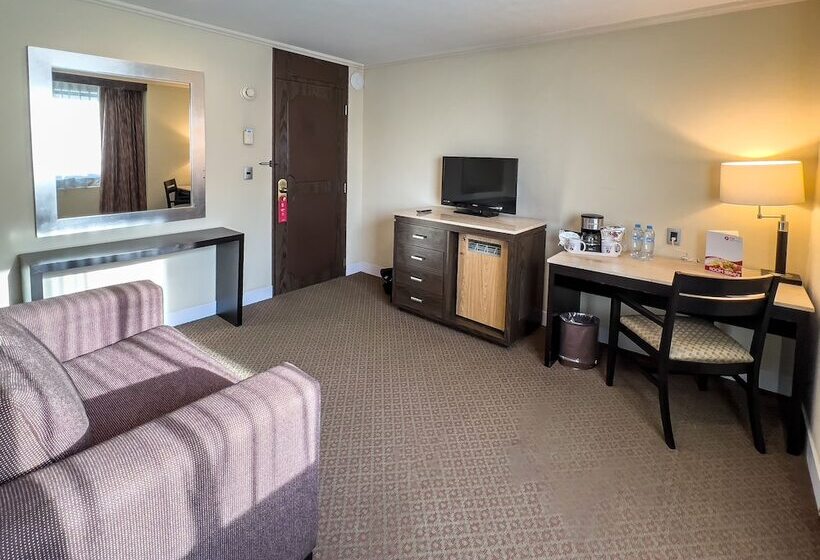 سوییت, Exe Alameda Reforma