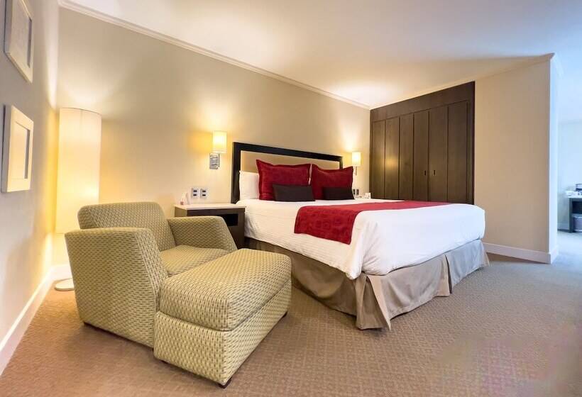 سوییت, Exe Alameda Reforma