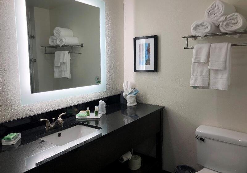 スタンダードルーム, Holiday Inn Allentown Bethlehem, An Ihg