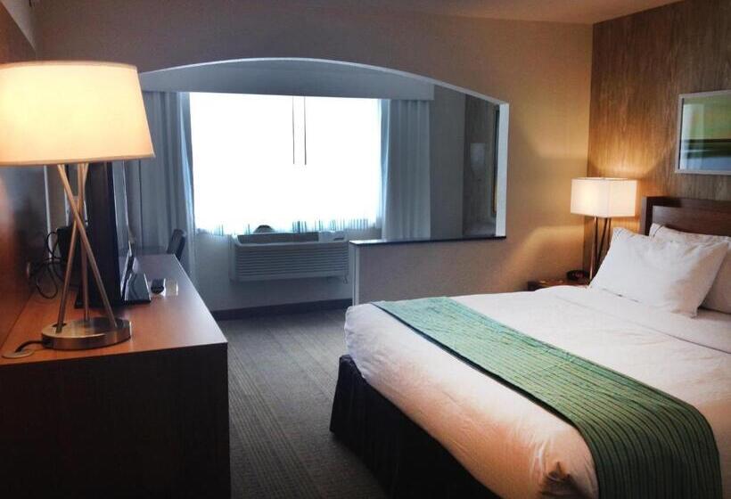 장애인을 위한 킹사이즈 침대 스탠다드 룸, Holiday Inn Express Hotel & Suites Fraser Winter Park Area, An Ihg