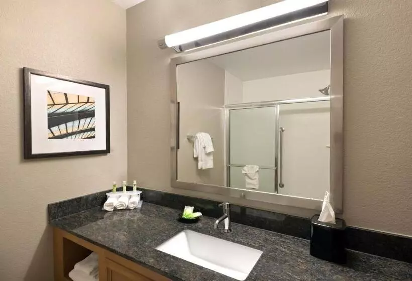 اتاق استاندارد با بالکن, Holiday Inn Express Hotel & Suites Fraser Winter Park Area, An Ihg