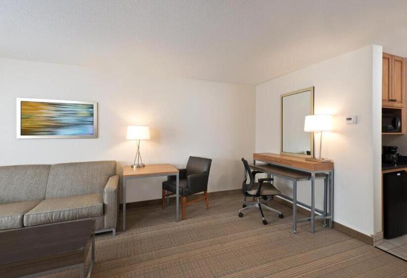 Люкс, Holiday Inn Express Hotel & Suites Fraser Winter Park Area, An Ihg