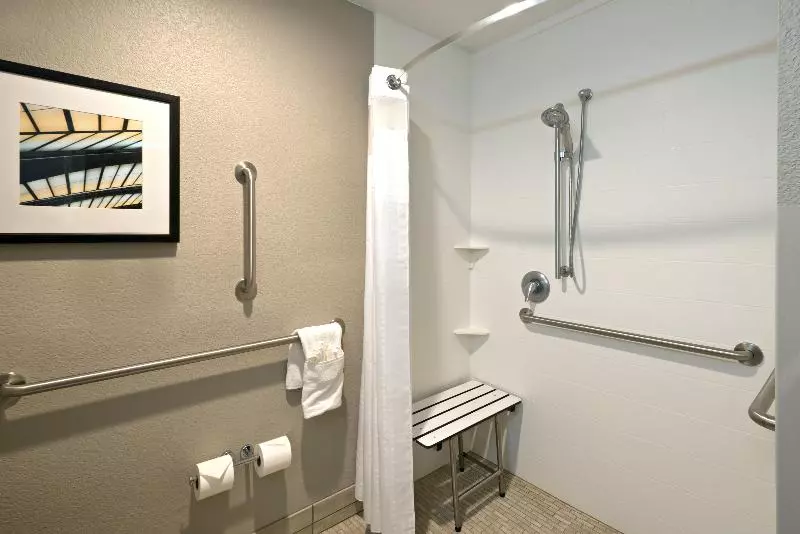اتاق استاندارد با تخت بزرگ برای معلولان, Holiday Inn Express Hotel & Suites Fraser Winter Park Area, An Ihg