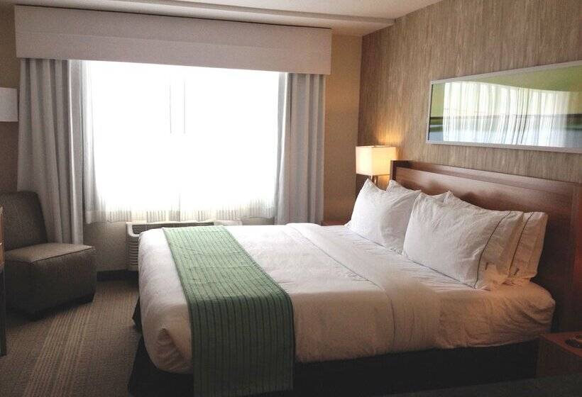 스탠다드 룸, Holiday Inn Express Hotel & Suites Fraser Winter Park Area, An Ihg