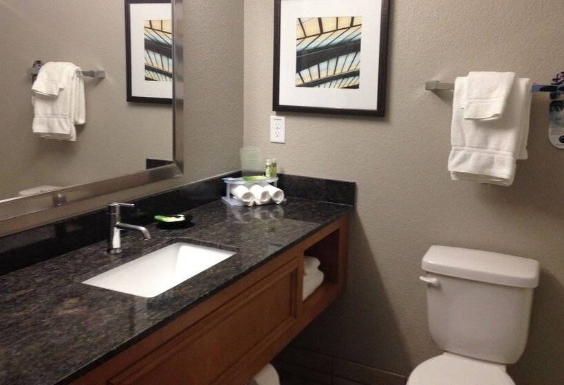 Номер Стандарт Адаптированный для Инвалидов, Holiday Inn Express Hotel & Suites Fraser Winter Park Area, An Ihg