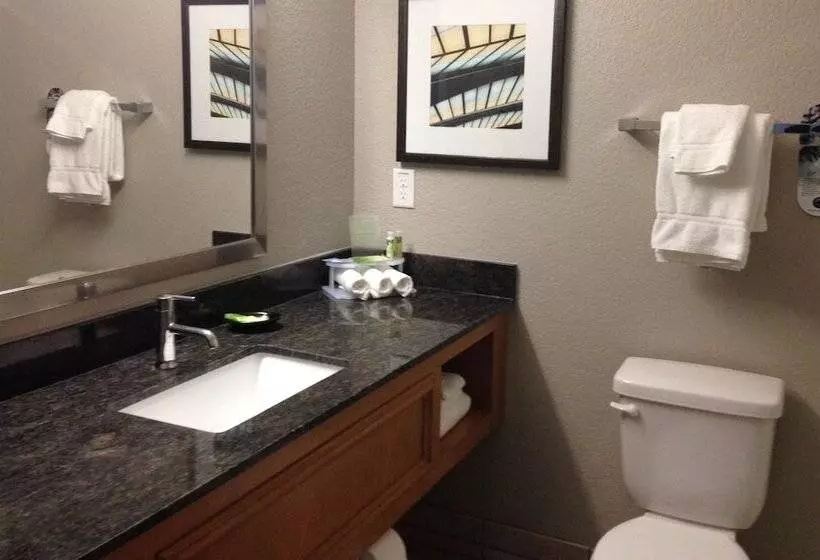 اتاق استاندارد برای معلولان, Holiday Inn Express Hotel & Suites Fraser Winter Park Area, An Ihg