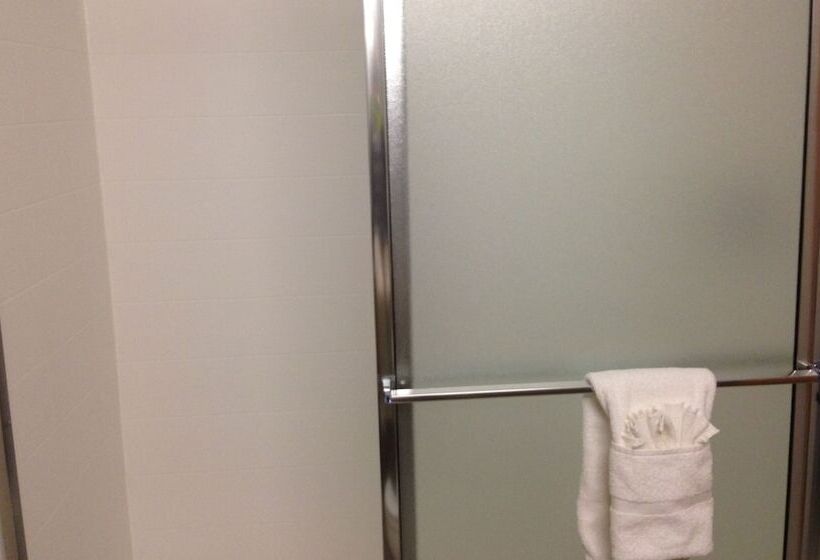 스위트, Holiday Inn Express Hotel & Suites Fraser Winter Park Area, An Ihg