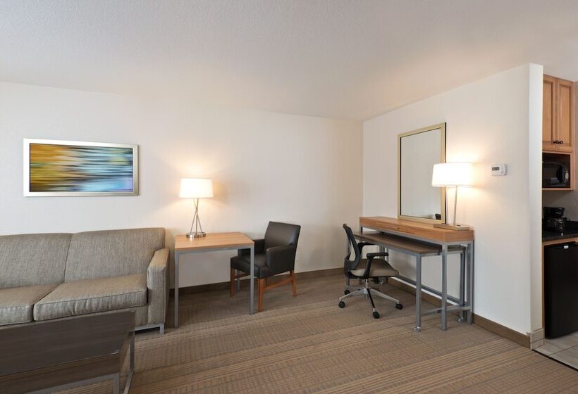 스위트, Holiday Inn Express Hotel & Suites Fraser Winter Park Area, An Ihg