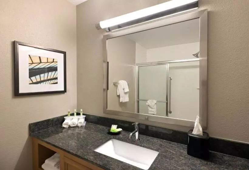 اتاق استاندارد با بالکن, Holiday Inn Express Hotel & Suites Fraser Winter Park Area, An Ihg