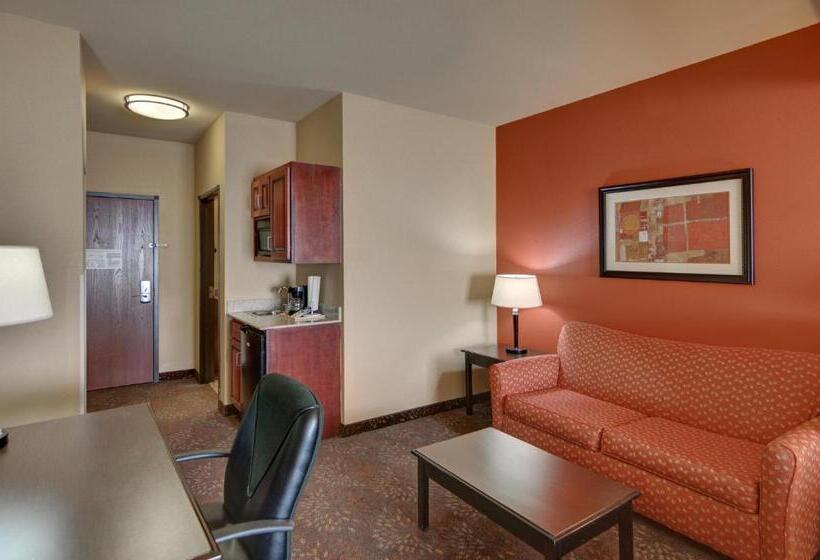 キングサイズベッドのスタンダードルーム, Holiday Inn Express Tyler South, An Ihg
