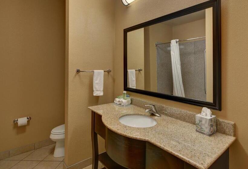 Büyük Çift Kişilik Yataklı Standart Oda, Holiday Inn Express Tyler South, An Ihg