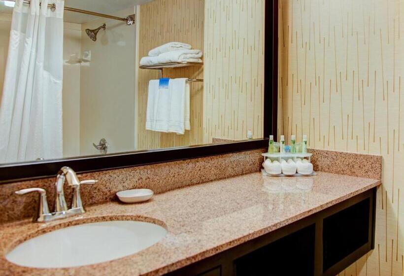 Büyük Çift Kişilik Yataklı Standart Oda, Holiday Inn Express Tyler South, An Ihg