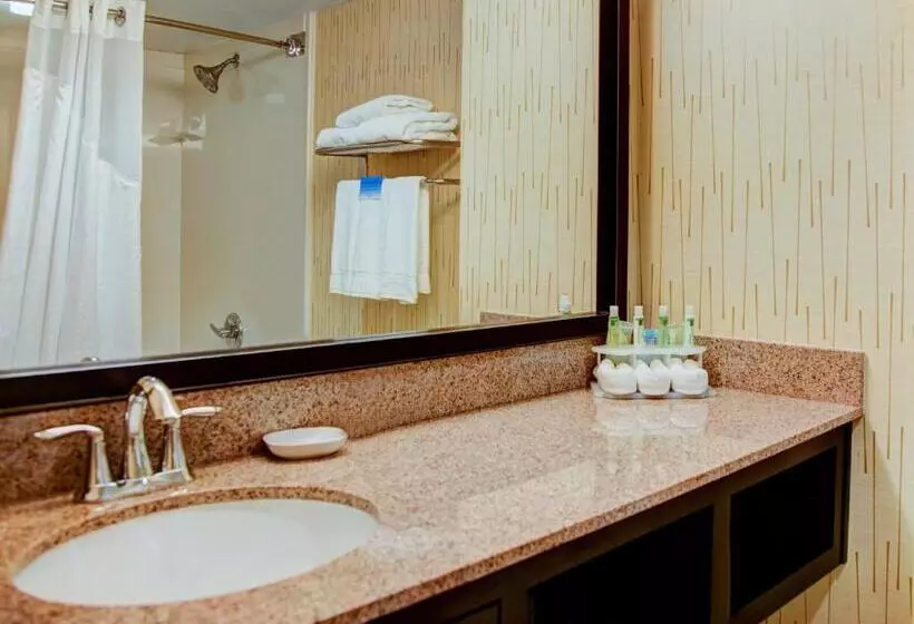 اتاق استاندارد, Holiday Inn Express Tyler South, An Ihg