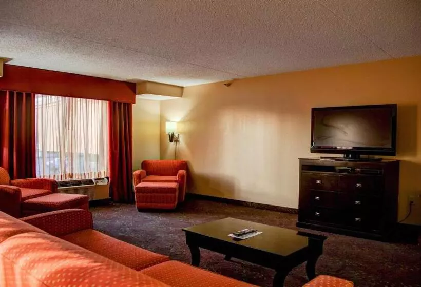 سوئیت با تخت بزرگ, Holiday Inn Express Tyler South, An Ihg