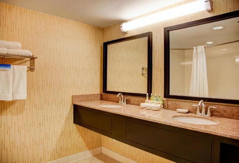 Büyük Çift Kişilik Yataklı Süit, Holiday Inn Express Tyler South, An Ihg