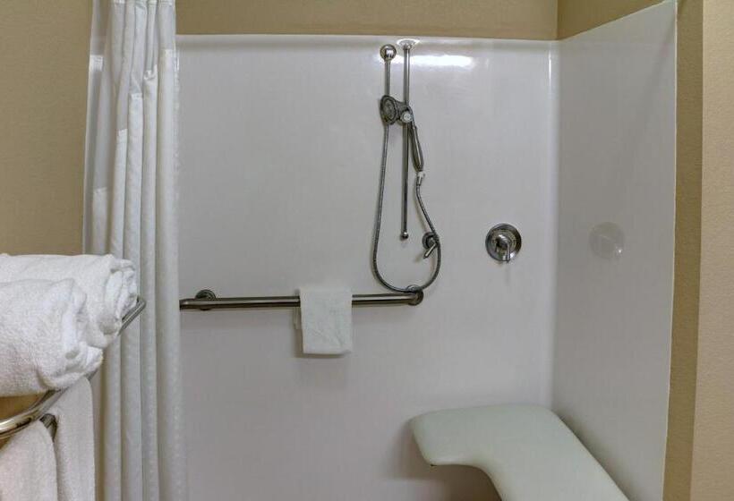 身障者適用キングサイズベッドルーム, Holiday Inn Express Tyler South, An Ihg