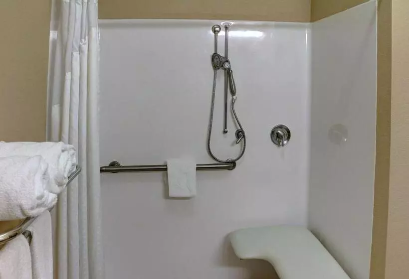 اتاق استاندارد با تخت بزرگ برای معلولان, Holiday Inn Express Tyler South, An Ihg