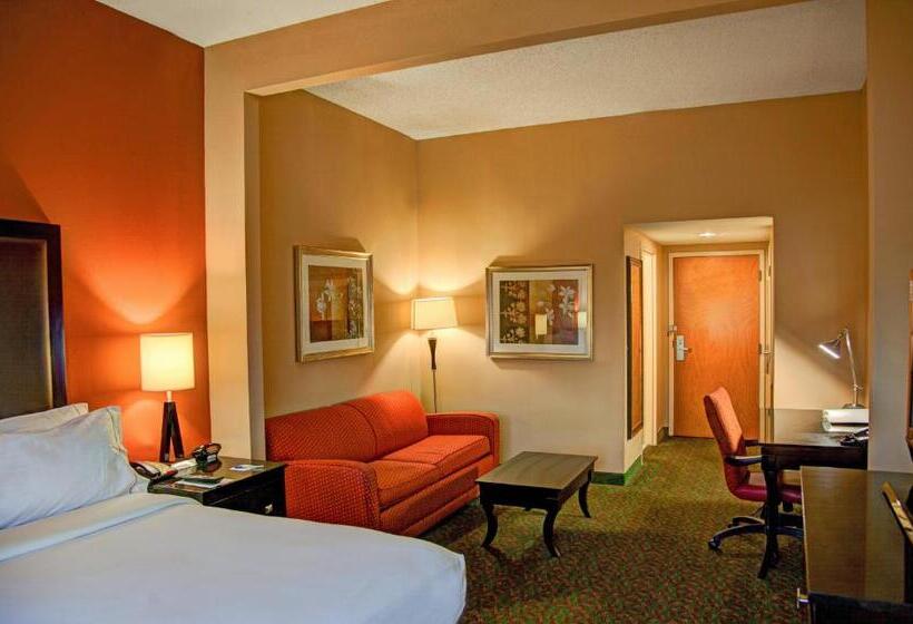 Büyük Çift Kişilik Yataklı Standart Oda, Holiday Inn Express Tyler South, An Ihg