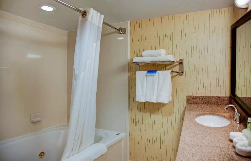 اتاق استاندارد با تخت بزرگ, Holiday Inn Express Tyler South, An Ihg