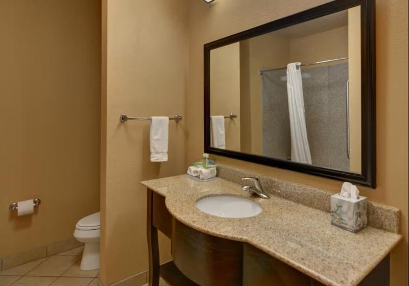 Büyük Çift Kişilik Yataklı Standart Oda, Holiday Inn Express Tyler South, An Ihg