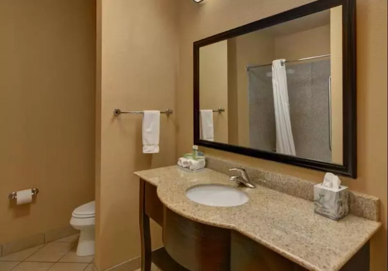 اتاق استاندارد با تخت بزرگ, Holiday Inn Express Tyler South, An Ihg