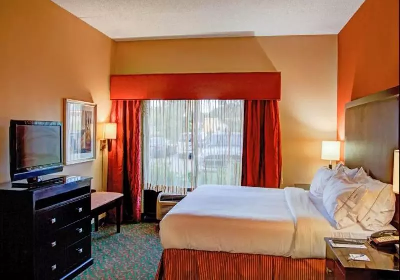 اتاق استاندارد با تخت بزرگ, Holiday Inn Express Tyler South, An Ihg