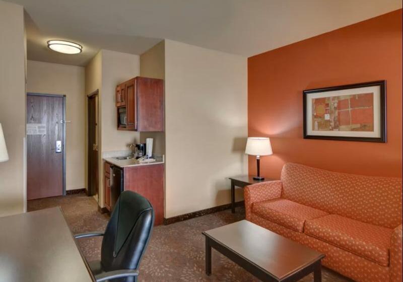 キングサイズベッドのスタンダードルーム, Holiday Inn Express Tyler South, An Ihg