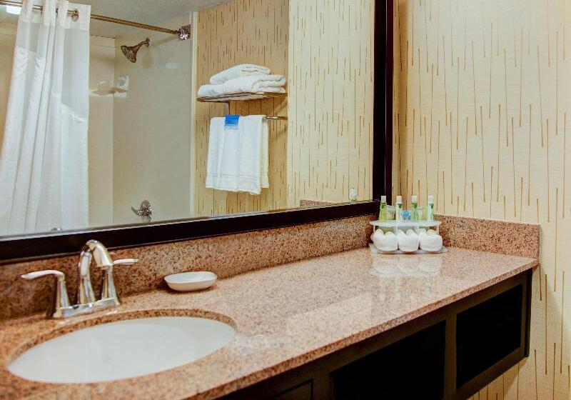 キングサイズベッドのスタンダードルーム, Holiday Inn Express Tyler South, An Ihg