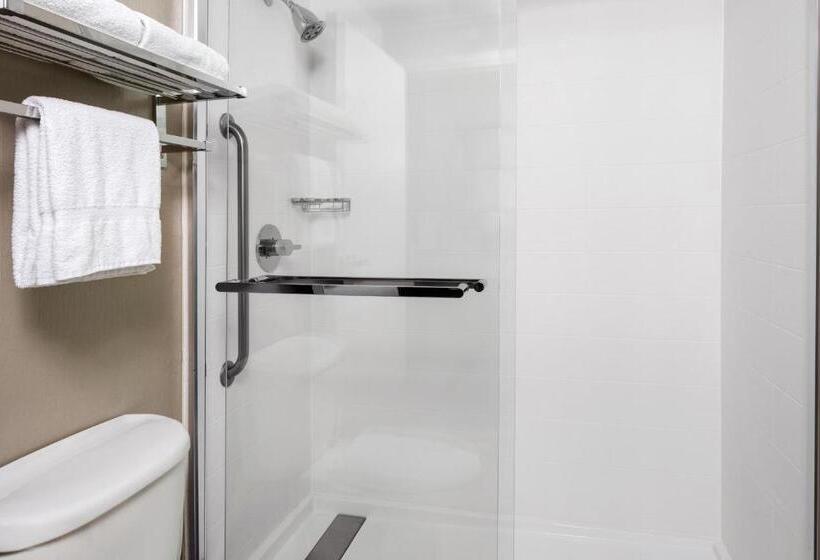 Люкс Кровать Кинг, Springhill Suites Austin Round Rock