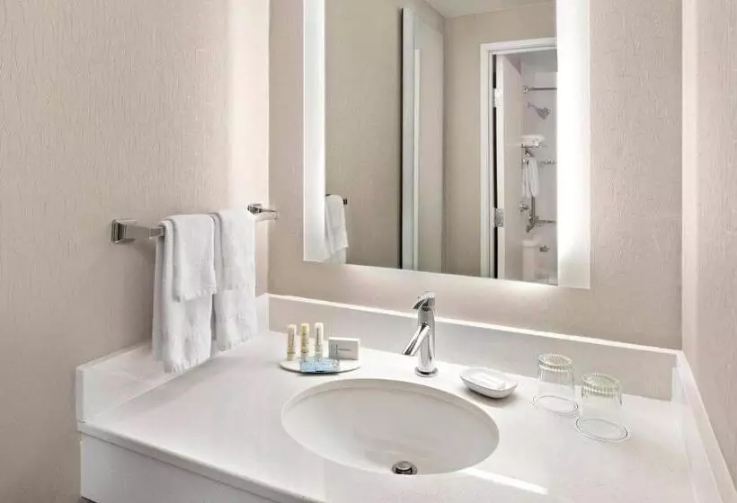 身障者適用スイートルーム, Springhill Suites Austin Round Rock