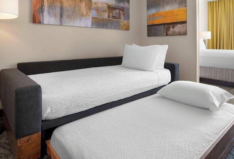 Люкс, Springhill Suites Austin Round Rock
