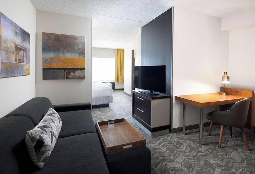 Люкс Адаптированный для Инвалидов, Springhill Suites Austin Round Rock