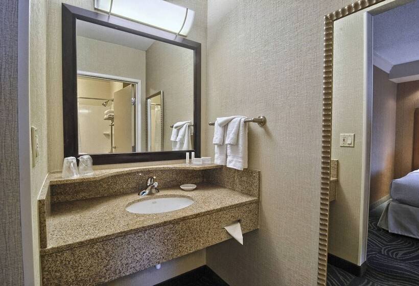جناح, Springhill Suites Detroit Southfield