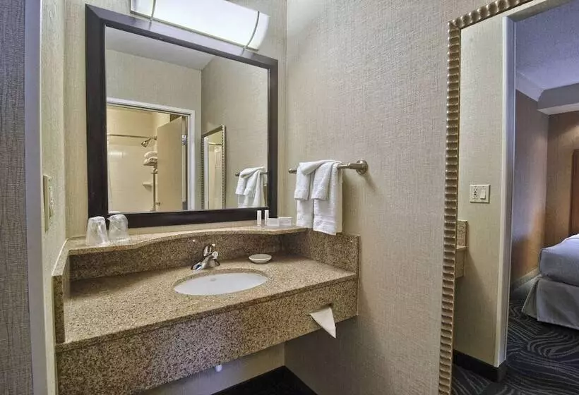 スイート, Springhill Suites Detroit Southfield