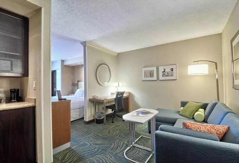 スイート, Springhill Suites Detroit Southfield