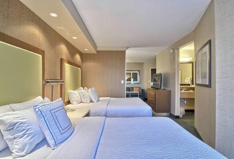 جناح, Springhill Suites Detroit Southfield