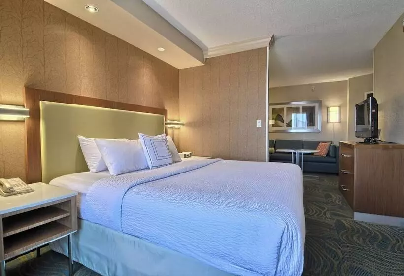 スイート, Springhill Suites Detroit Southfield