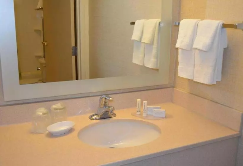 استودیو استاندارد با تخت کینگ, Springhill Suites By Marriott Lansing