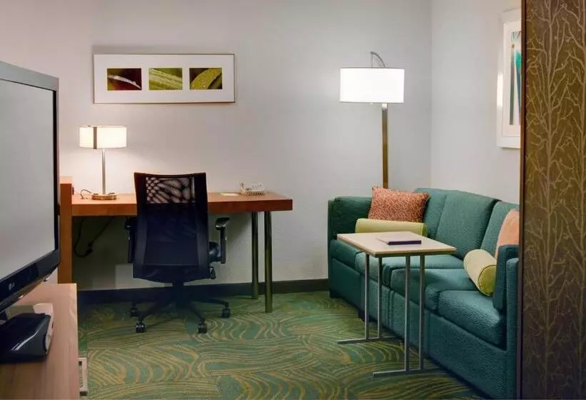 استودیو استاندارد با تخت کینگ, Springhill Suites By Marriott Lansing