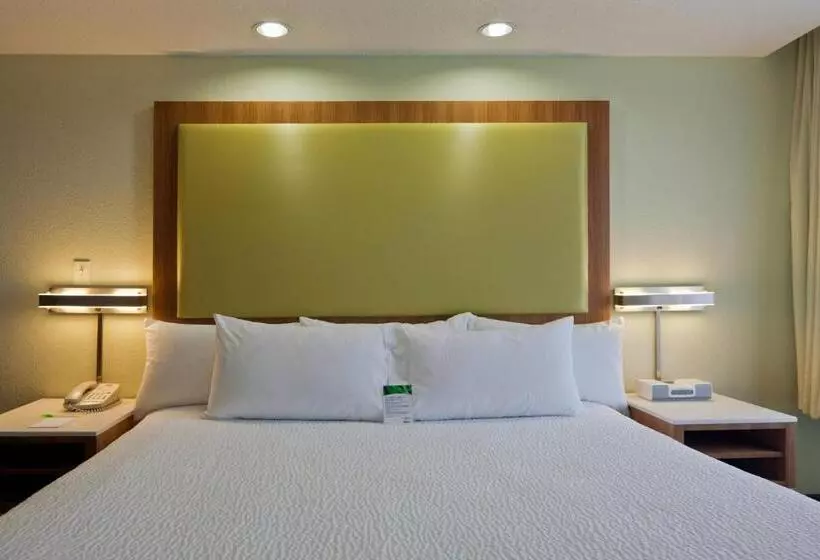 استودیو استاندارد با تخت کینگ, Springhill Suites By Marriott Lansing