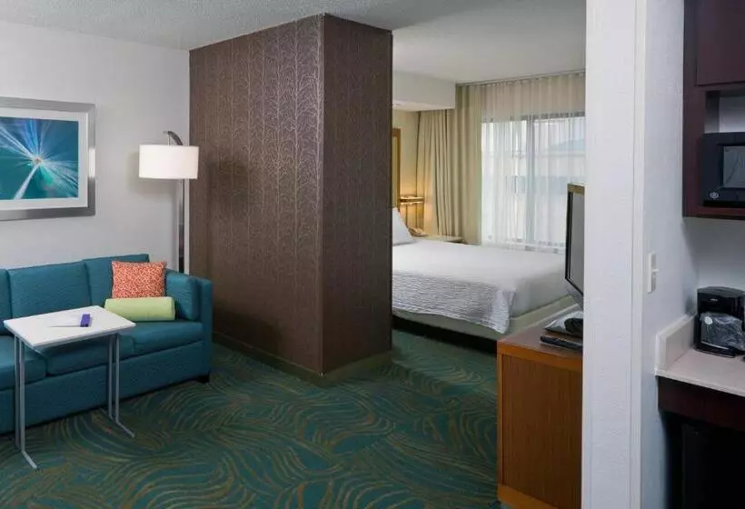استودیو استاندارد با تخت کینگ, Springhill Suites By Marriott Lansing
