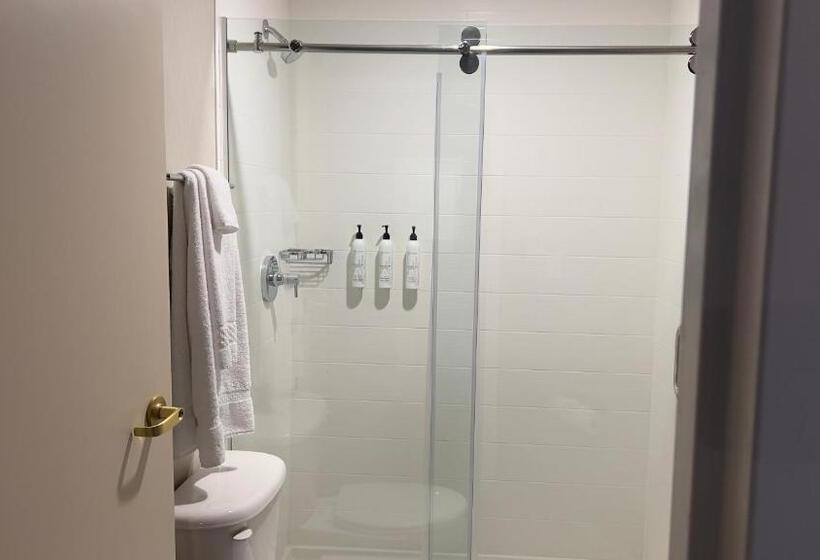 إستوديو قياسى سرير كينج, Springhill Suites By Marriott Lansing